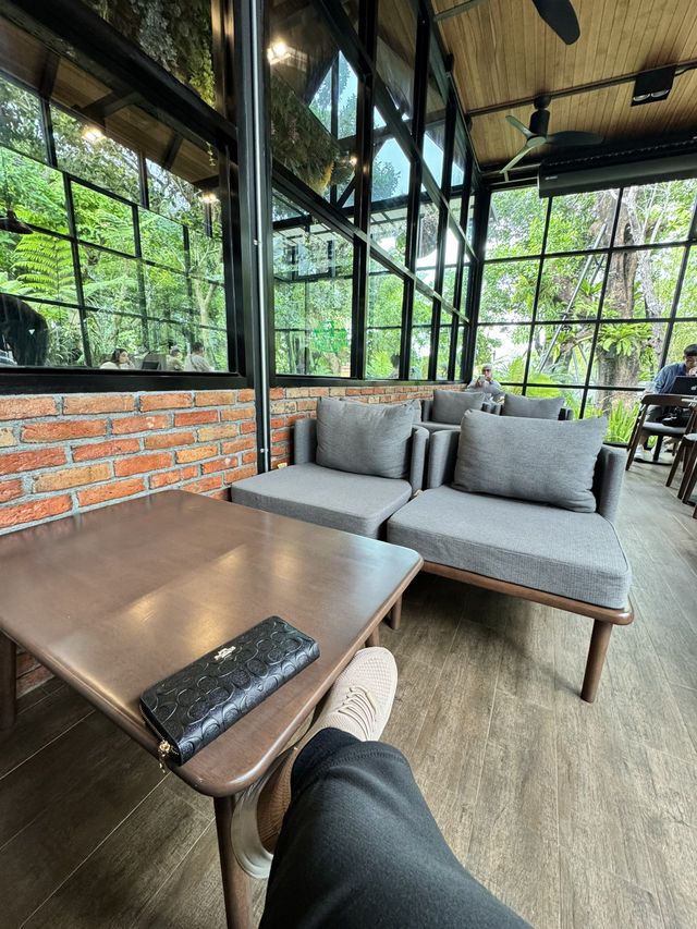 Cozy Amazon Escape🌿
