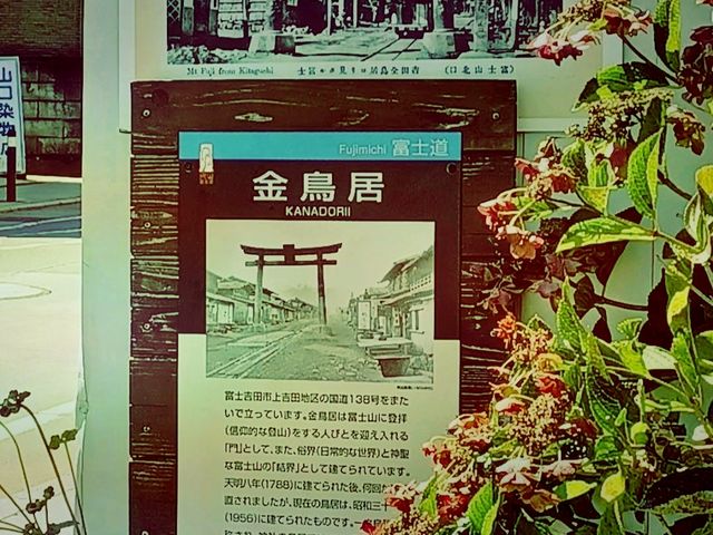 Kanadorii（金鳥居）──神秘壯麗的傳統象徵