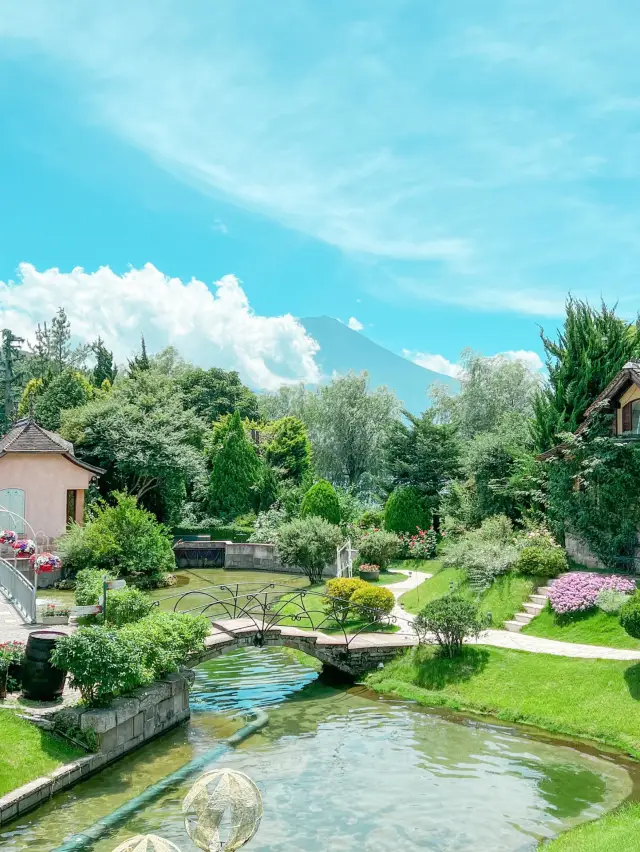 【山梨】音樂、花卉與富士山的絕美景色盡在此處！