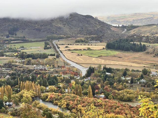 ใบไม้เปลี่ยนสีที่สวยที่สุดใน New Zealand🍁