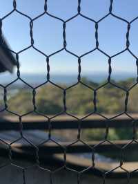 琵琶湖と城下町を一望できる、国宝・彦根城