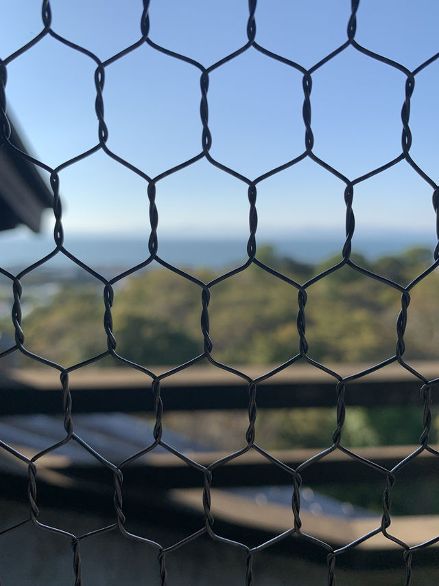 琵琶湖と城下町を一望できる、国宝・彦根城 琵琶湖と城下町を一望できる、国宝・彦根城