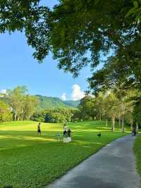 9月必去靚景推薦🌳  
