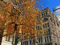 🛍️ Attractive Featured Post: 16th Street Mall – Denver’s Urban Playground