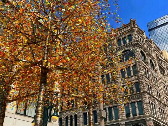 🛍️ Attractive Featured Post: 16th Street Mall – Denver’s Urban Playground 🛍️ Attractive Featured Post: 16th Street Mall – Denver’s Urban Playground