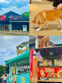 ๐ฟ ํํ ์ง๊ฒฉ์ ๊ฑฐ์ธ & ์ ํ์ธ ๊ณจ๋ชฉ ์ฌํ๊ธฐ ๐ฏ๐ต๐ธ