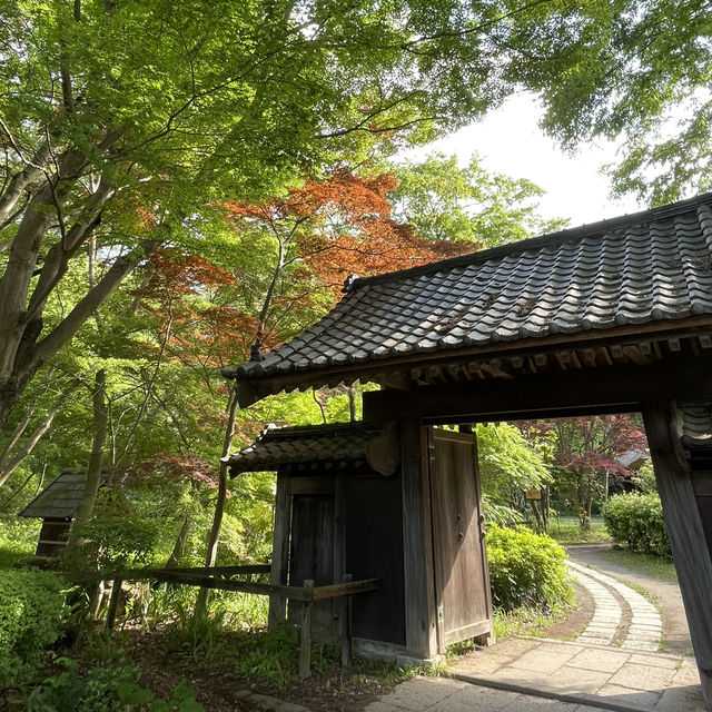 【東京町田】美しい池と植物の楽園 【東京町田】美しい池と植物の楽園