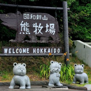 The Cutest Bear Ranch in Hokkaido: Showa Shinzan Experience 🐻✨