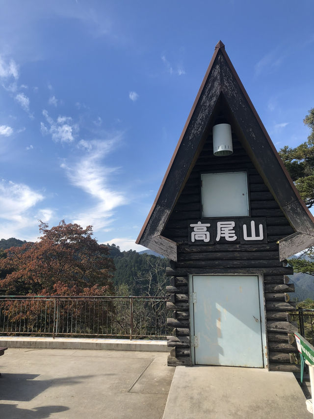 🚡高尾山一日遊：纜車體驗×登山散策×美食享受
