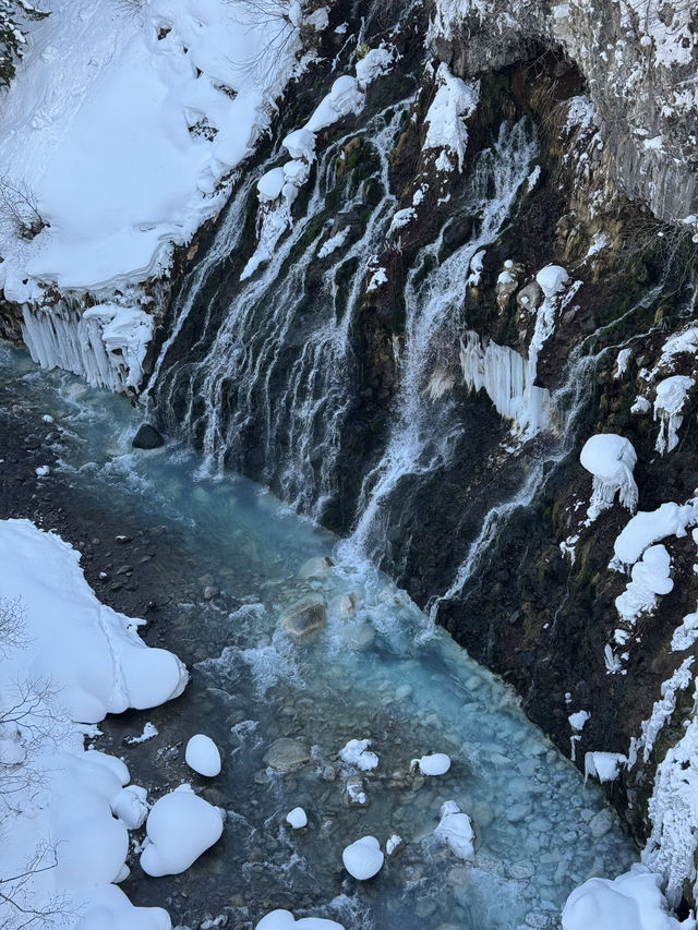❄️ 冬季必訪夢幻奇景｜北海道「白鬚瀑布」雪白仙境之旅