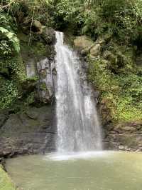 Ideal plan for Ubud 