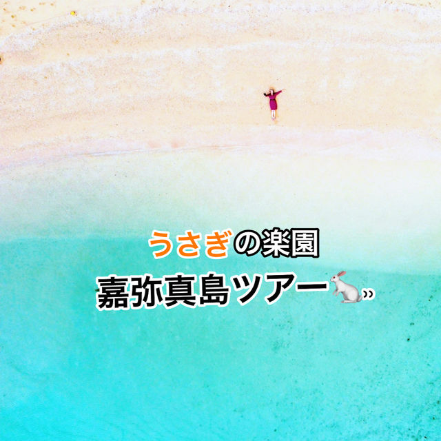 【嘉弥真島】うさぎと海と自然を満喫! 【嘉弥真島】うさぎと海と自然を満喫!