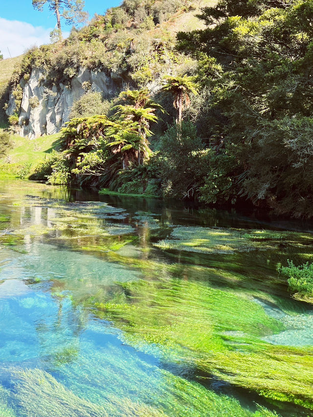 💙 Blue Spring: Earth’s Liquid Crystal in Pure NZ! 🌿