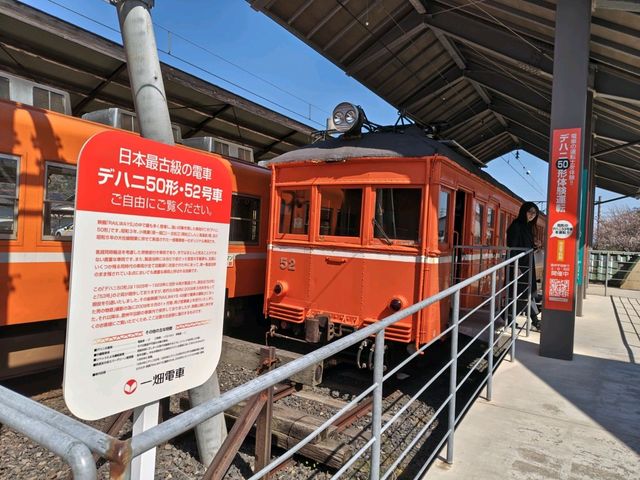 出雲大社（島根県出雲市）