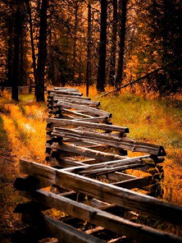 웨스트 쿠트니(West Kootenays)