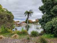 Kuirau Park, Rotorua: A Free Geothermal Wonder