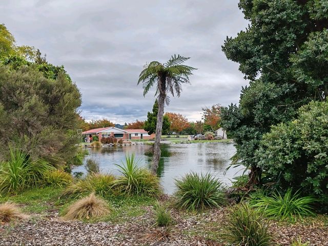 Kuirau Park, Rotorua: A Free Geothermal Wonder
