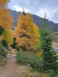 Mont Avic Natural Park