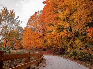 가을의 고요한 야외 풍경 속을 거닐다