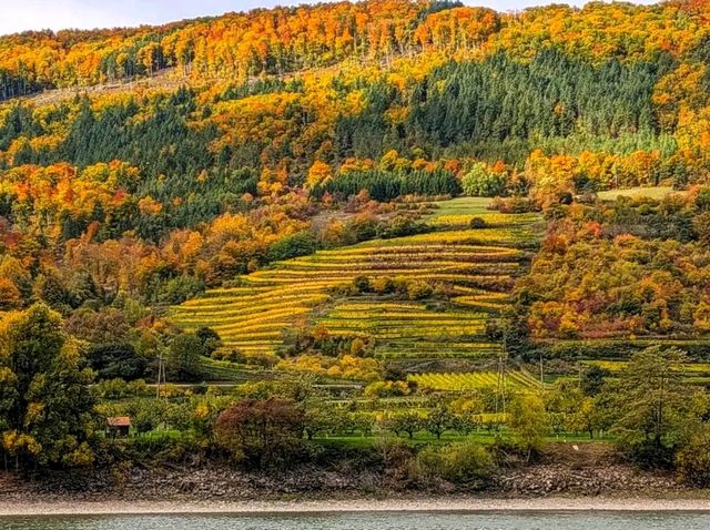 🌿 Wachau Valley – Austria’s Fairytale River Wonderland