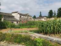 2025年12月31日まで外国人は入場料半額！1000年の歴史がある世界遺産の村「西递」