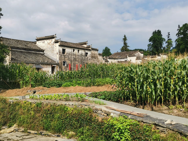 2025年12月31日まで外国人は入場料半額！1000年の歴史がある世界遺産の村「西递」