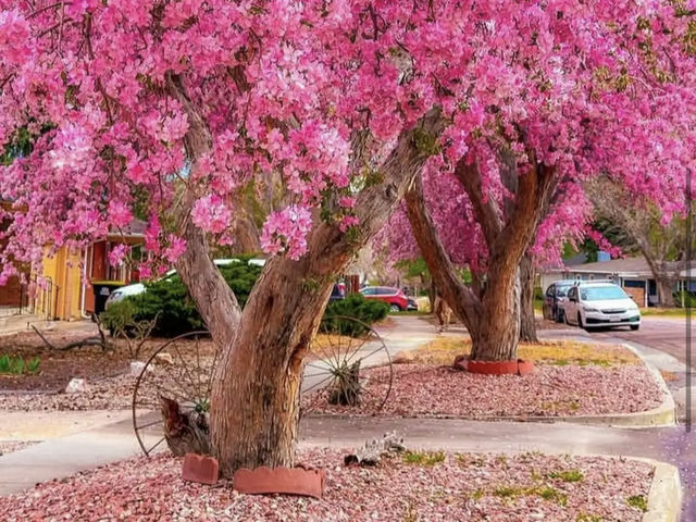 Denver Botanic Gardens