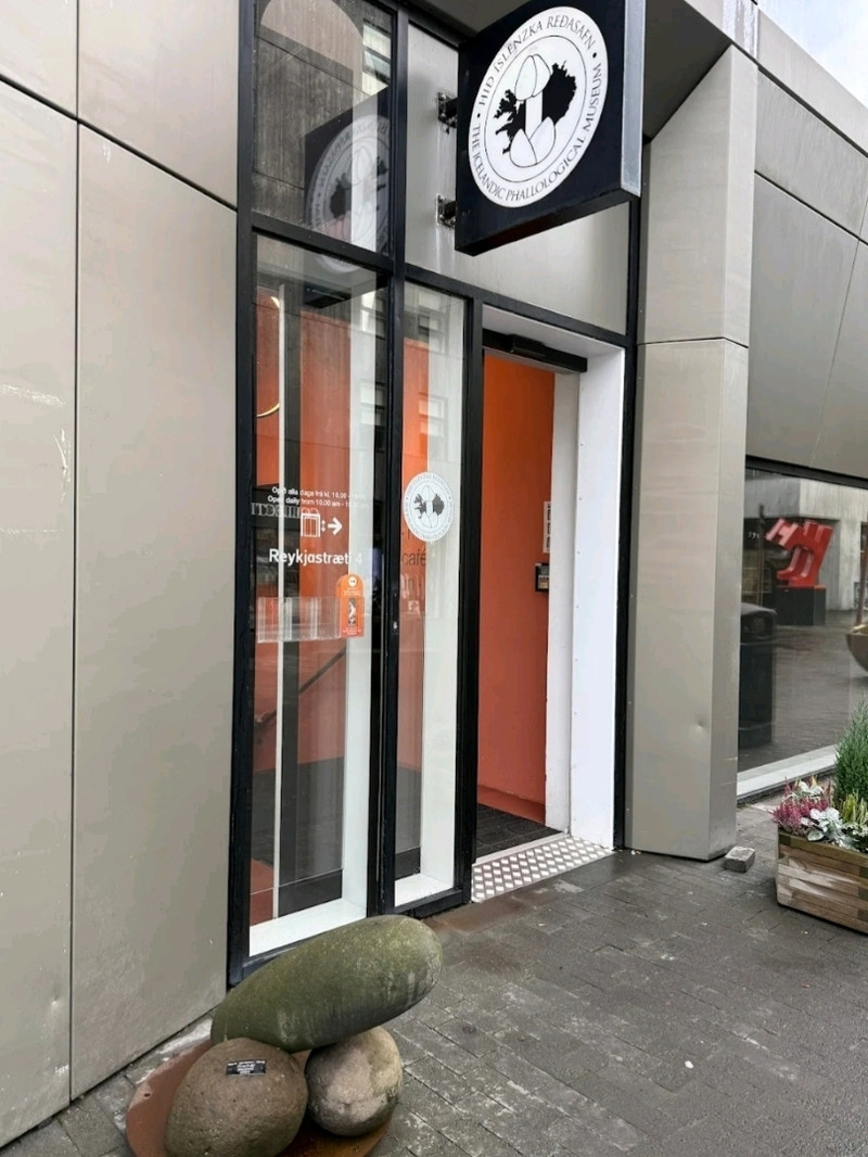 The Icelandic Phallological Museum.