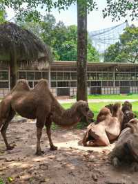 富國島珍珠野生動物園