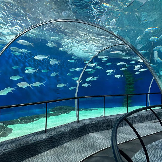 🏙️ Must-Visit Places in Shanghai! 🌟