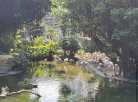 Kowloon Park 九龍公園