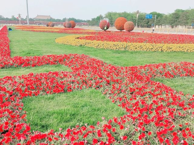 Daytime Dazzle at Tiananmen Square: History, Art, and Jaw-Dropping Vibes 🇨🇳✨