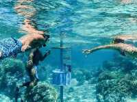 Lagoon Service Bora Bora - The Beat Experience Ever