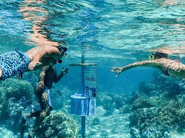 Lagoon Service Bora Bora - The Beat Experience Ever