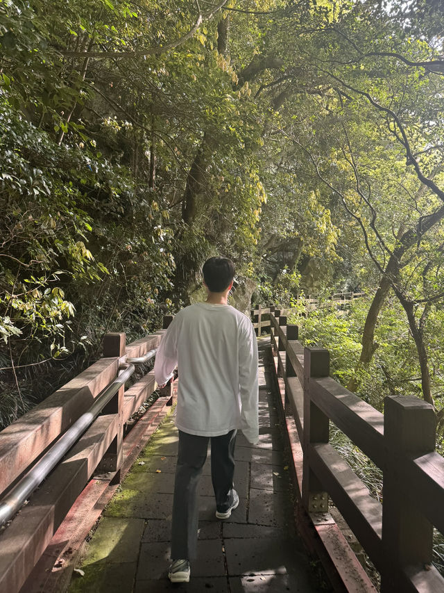 Jeju Nature Days🌼 Jeju Nature Days🌼