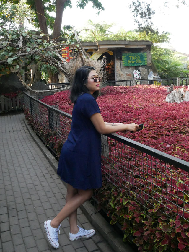 Wisata di Bandung Wisata di Bandung