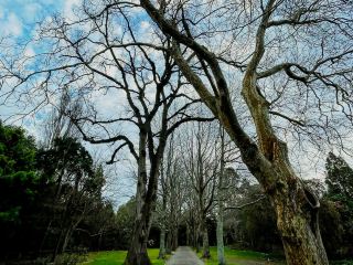 Garden Whispers & Riverside Grace