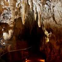 Waitomo Glowworm Caves
