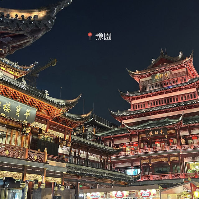 【上海ディズニー】上海市街地＆上海ディズニーランド