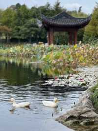 Tranquil, serene park that captures my heart!