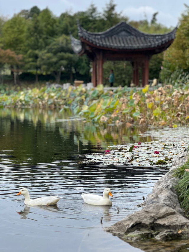 Tranquil, serene park that captures my heart! Tranquil, serene park that captures my heart!
