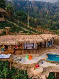 บ้านป่าหมอก