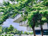 Hanoi Museum Moments🌳