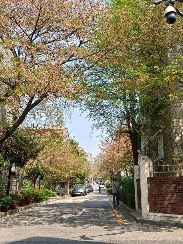 在安靜的巷弄裡,當個無聲的過客 在安靜的巷弄裡,當個無聲的過客