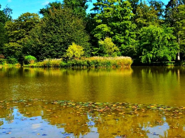 ๐ฟ Karlsruhe Botanical Garden โ Calm Paths, Glasshouses & Classic Beauty ๐ฟ Karlsruhe Botanical Garden โ Calm Paths, Glasshouses & Classic Beauty