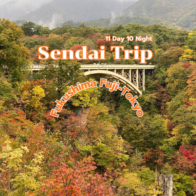 แจกแพลนเที่ยว เซนได ฟุกุชิมะ ฟูจิ โตเกียว 🇯🇵