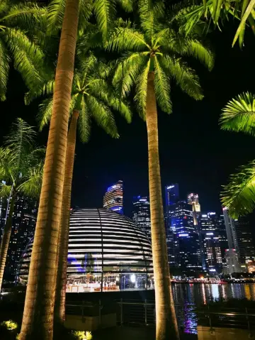 新加坡的夜晚——光影、秩序與靜謐的雄心