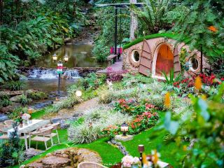 Chiang Mai Riverside Retreat: A Private Haven Amidst the Forest