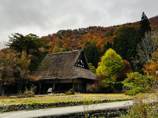 宛如穿越到古日本：白川鄉。