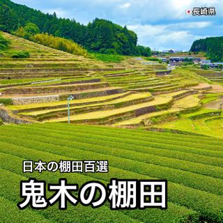 【長崎】日本百大梯田之一　感受日本原風景【鬼木的梯田】